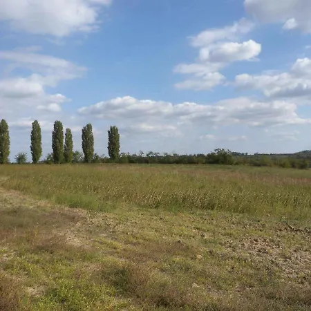 別荘 In 33661 Balatonendréd