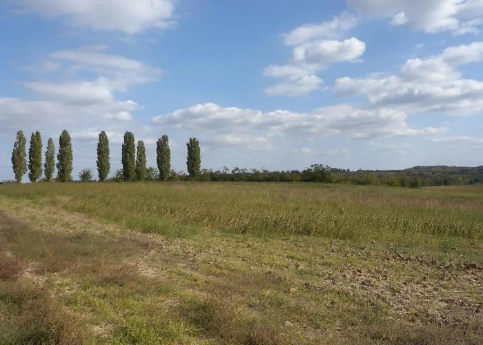 بيت للعطل In 33661 Balatonendréd
